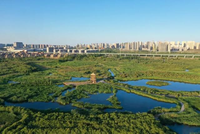 十三载绘新卷 兰州新区的“美丽城市”实践