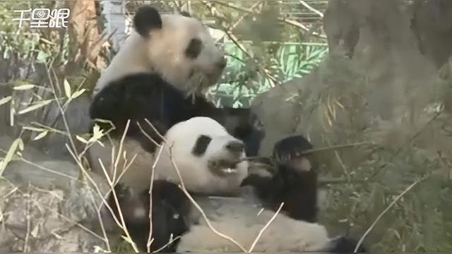 身份大反转！特朗普前安保狙击手，竟是布朗大学枪击凶手