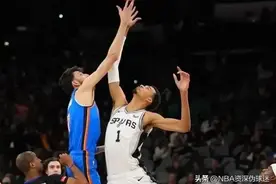 本赛季在NBA效力的欧洲球员来自26个国家多达65名，其中法国13人图片