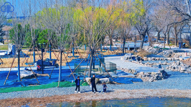 【津云镜头】天津西青元宝岛桃花盛放 春归大地绘就运河新景