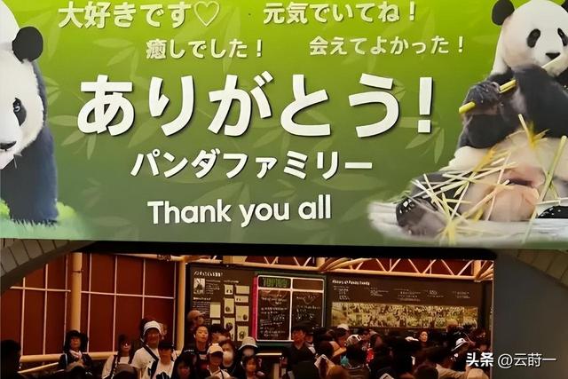 没有回旋余地，中国下令直接收回，17万日本人泪奔，高市闯祸了！