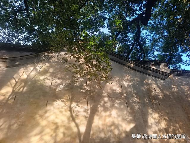 出门人挤人，可为何还是要去旅游呢？