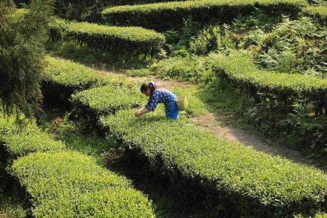 新晋打卡地！珙县这里上榜宜宾必去榜单→