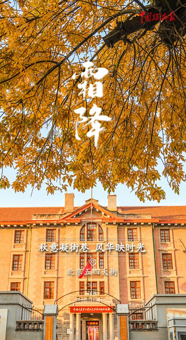 霜降丨收尽秋光惊艳色 静候冬日好时光