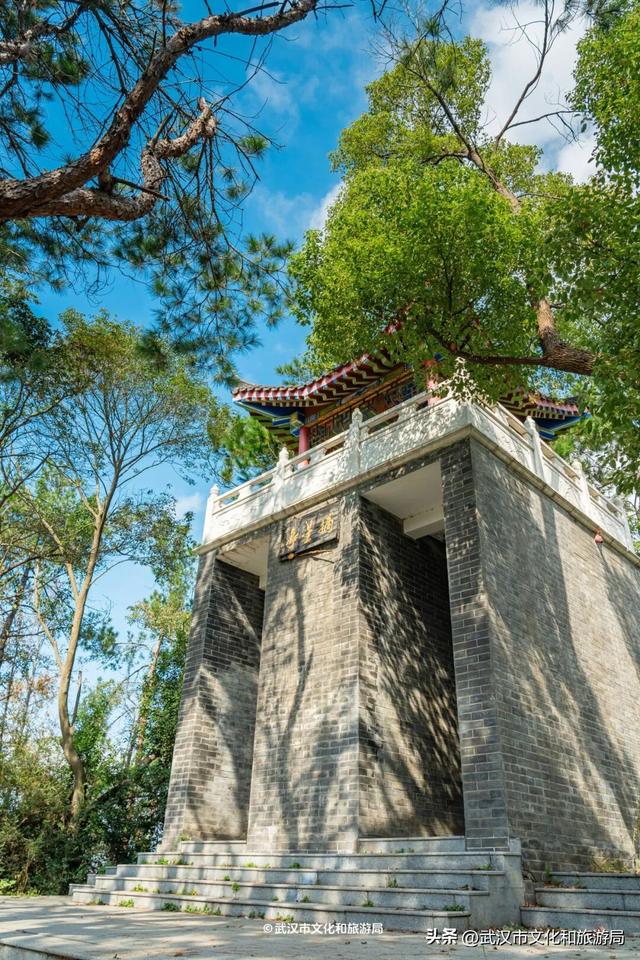 山顶看海，武汉这个机位绝了！