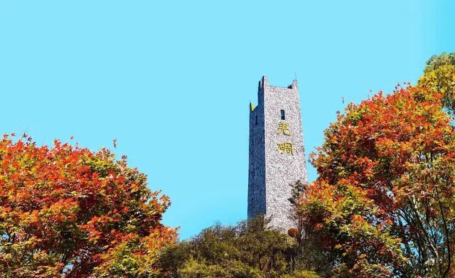 绝了！2h直抵彩林胜境！徒步遛娃冲绝版奖牌，集五福刮999足金！闹非遗羌年、吃刨汤羌宴！