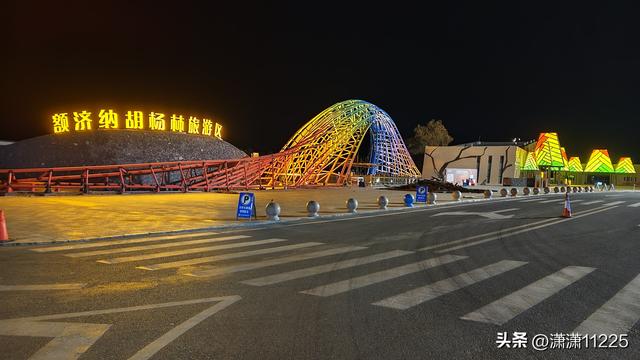 额济纳今年没有金胡杨，有的是创新的套路（1）