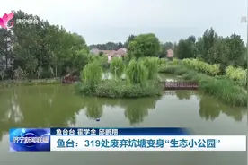 鱼台：319处废弃坑塘变身“生态小公园”图片