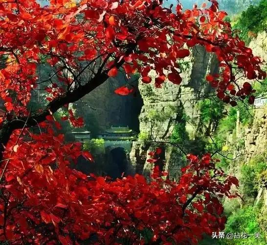 北京人去石家庄和太原，直言不讳：石家庄人和太原人气质截然不同