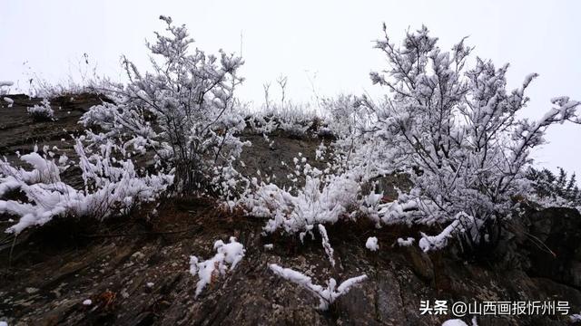寻美五台山 | 五台山雾凇云海齐现 春日山间宛若仙境