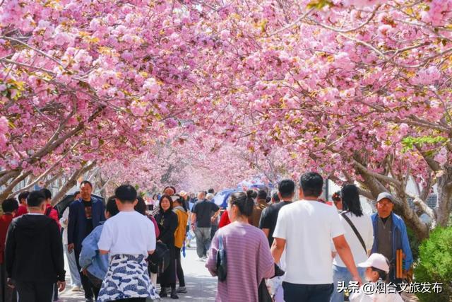 【乐享烟台】烟台两案例入选省生态旅游典型！蓬莱丘山谷、莱阳濯村双双上榜