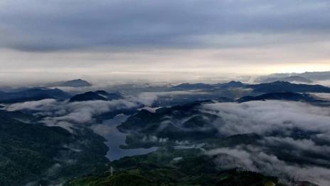 石斛的主要产地 2025年铁皮石斛的主要产地