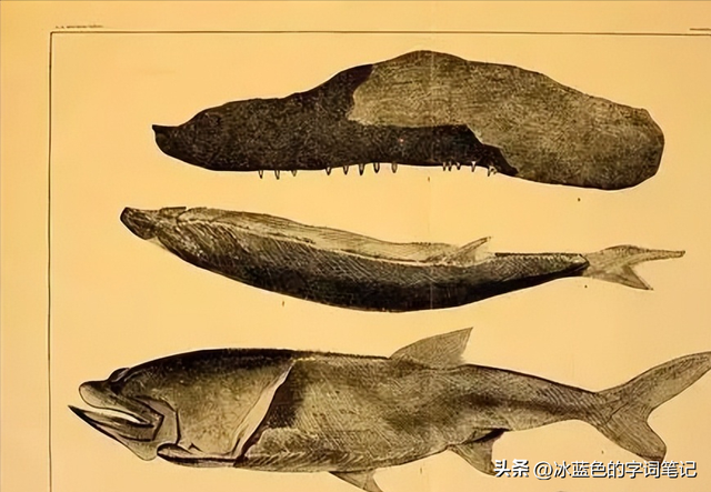 鳏夫的鳏怎么读？鳏是什么意思？鳏夫、鳏鱼、鳏寡孤独什么意思？