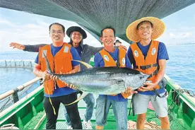 海南这条鱼，为何能频频“出圈”？图片