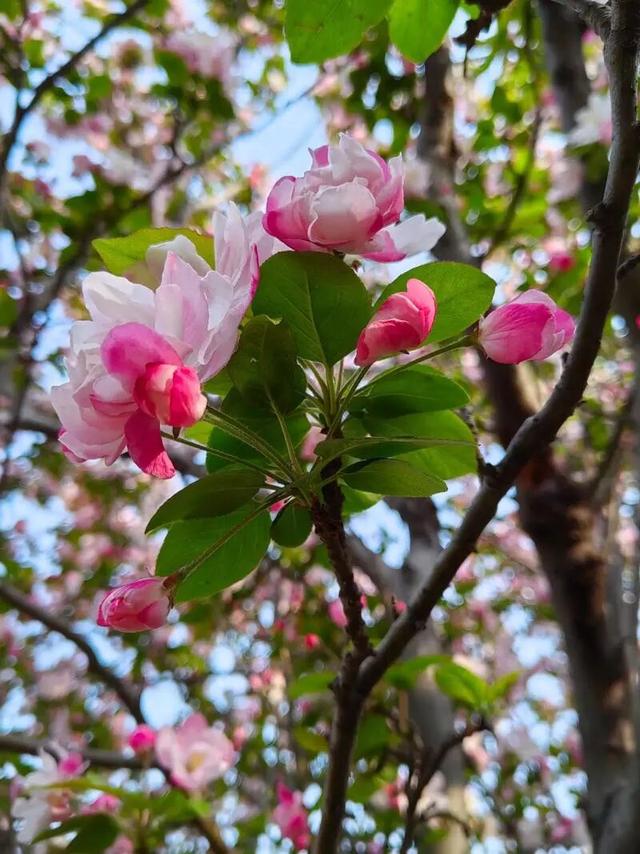 地理冷知识———秦皇岛