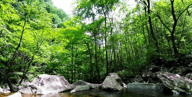 华东最后一片原始森林，藏在安徽，40块钱就能包场
