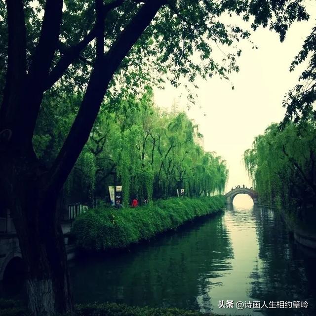 最美景色藏不住,西湖柳影入梦来