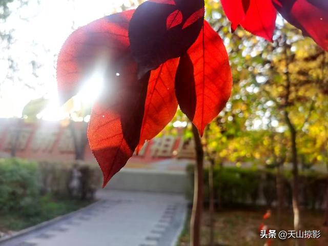 秋天里的童话
