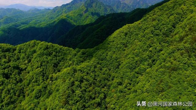就这个周末，别等“下次”了！带上好心情，去黑河，赴一场与自然的约会