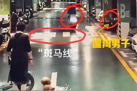 郑州交警火了！地库遛狗男从盲区冲出撞上电动车，电动车被判全责图片