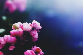 女人喜不喜欢你，发条微信就知道了图片