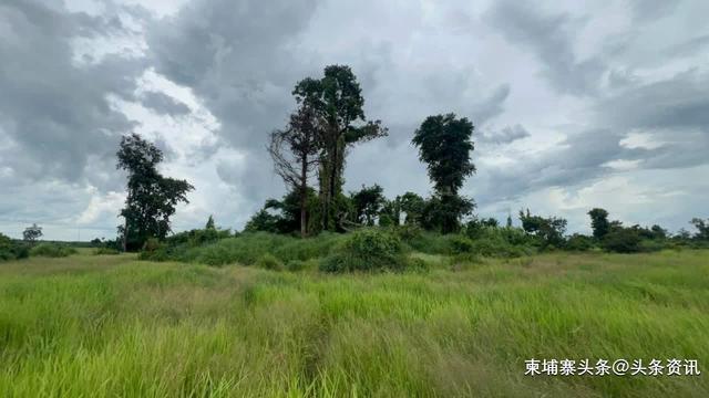 暹粒省惊现隐蔽古寺！