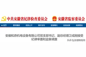 安徽一国企副总经理被查图片