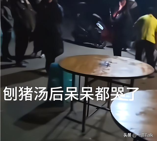 合川杀猪宴火到央视！人民日报点名，恶心事发生	，呆呆网名恐难保