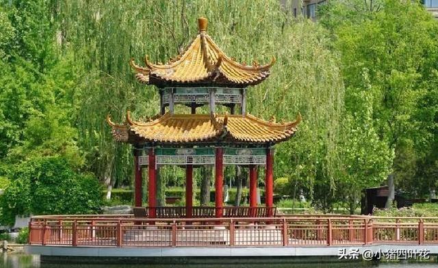 在山东桓台待半年后实话实说：真实情况让人意外