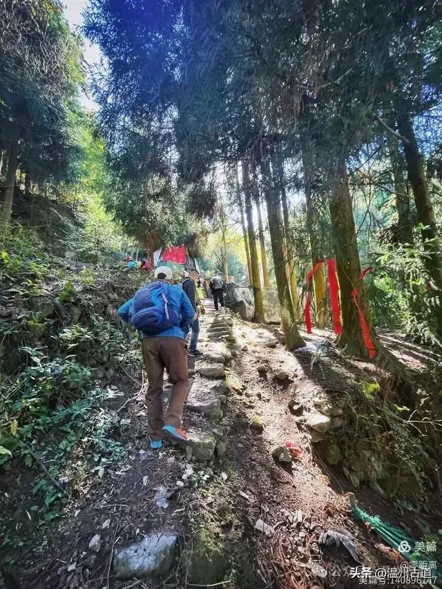 醉美林坑晒秋！这条连接两个避世古村落的省一级古道，周末可走起