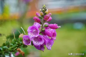 只要你不在意别人的评价和看法，别人就无法拿捏和控制你图片