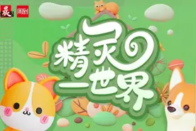 从“街头”到“温暖窝”，流浪猫迎来幸福逆袭图片