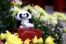 PSA＞10一定要穿刺吗？穿刺后是阴性再次穿刺检查有必要吗？图片