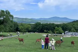 献礼建军节，森工平山皇家鹿苑：军人及家属“专属福利”来啦图片