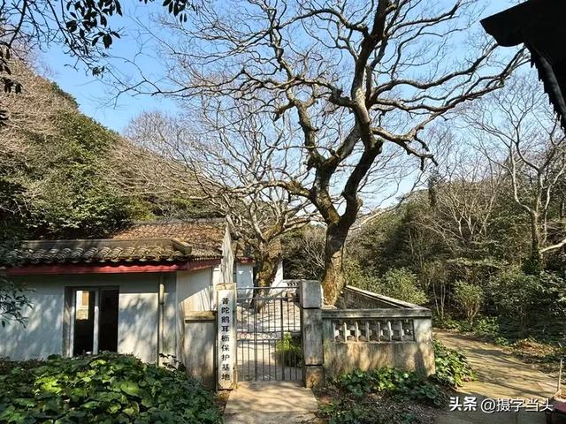 东海之滨——海天佛国普陀山