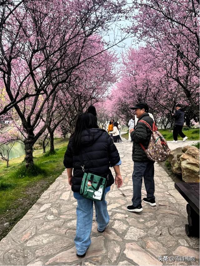 阳春三月下扬州瘦西湖畔春满江南