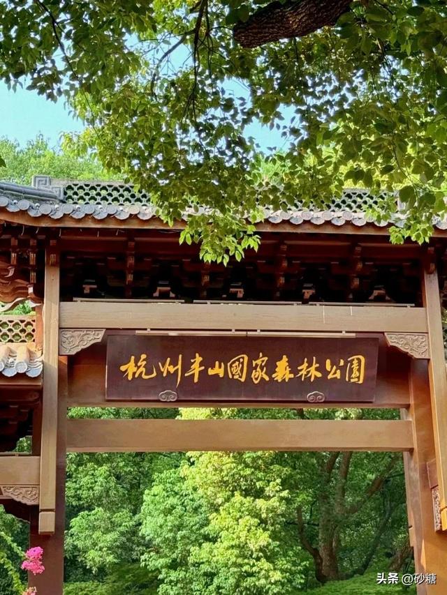 一键get森系大片！半山国家森林公园吸氧徒步全攻略