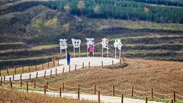 西安:秦岭脚下荞麦香 峪口村畔好风光