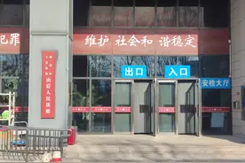 翟欣欣，认罪认罚图片