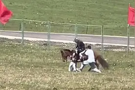 骑手带女生骑马，马受惊女生摔下来，马蹄拖拽她5秒，知情者发声图片