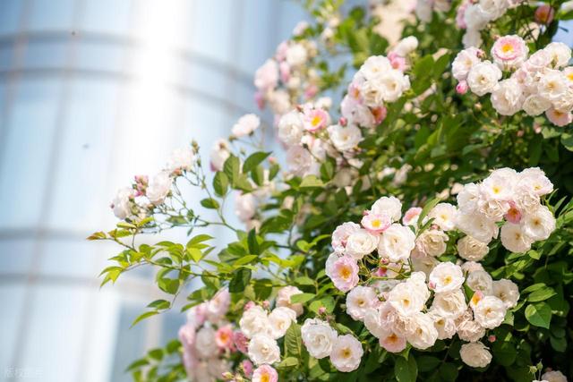 退休后，在巴马长寿村旅居，聊聊你最关心的3个问题