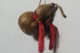 一炁归元之 天之道 解读图片