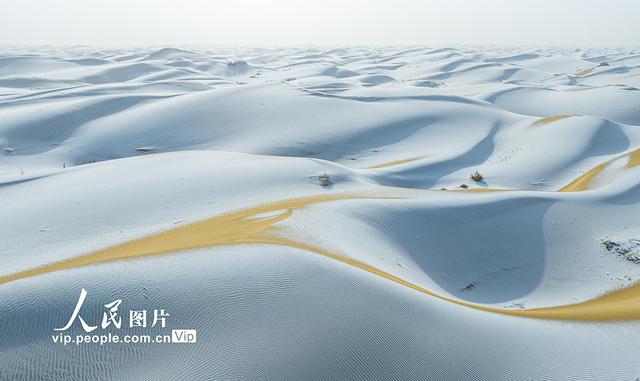 新疆尉犁：塔克拉玛干沙漠雪景如画
