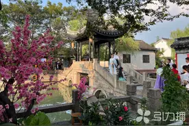 千年木渎 “新”潮澎湃图片
