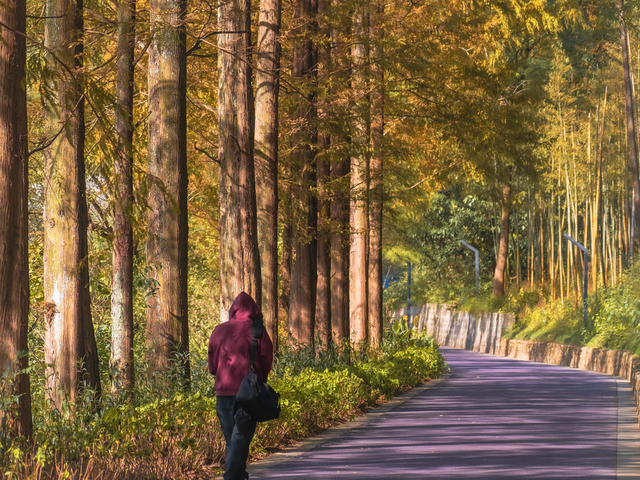 杭州秋冬的“多巴胺”美景来啦～