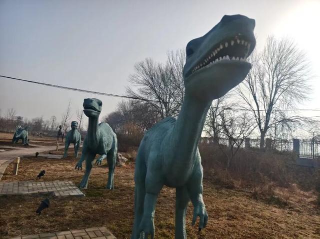 揭秘！诸城服务区为何能成为旅途中的“神秘打卡地”？