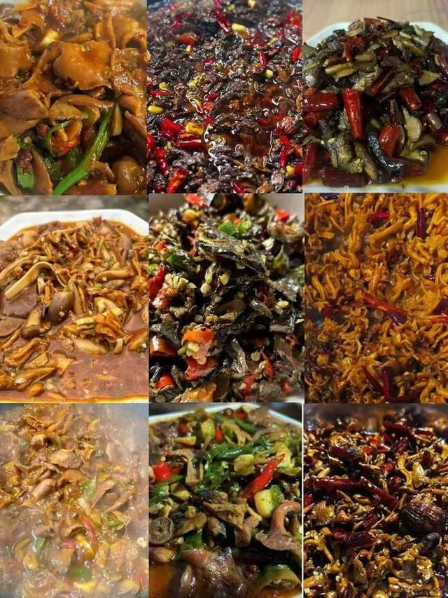 【20度的丽江】雨落一场,菌子疯长!丽江周末全民"寻宝"忙