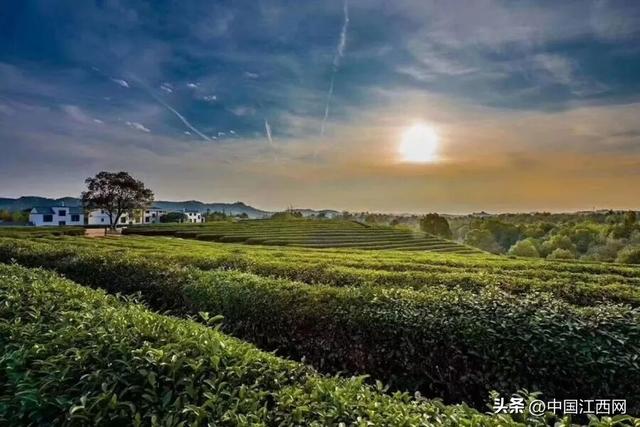 从“生态伤疤”到“仙侠世界”，江西这里的乡村为何火遍全球？