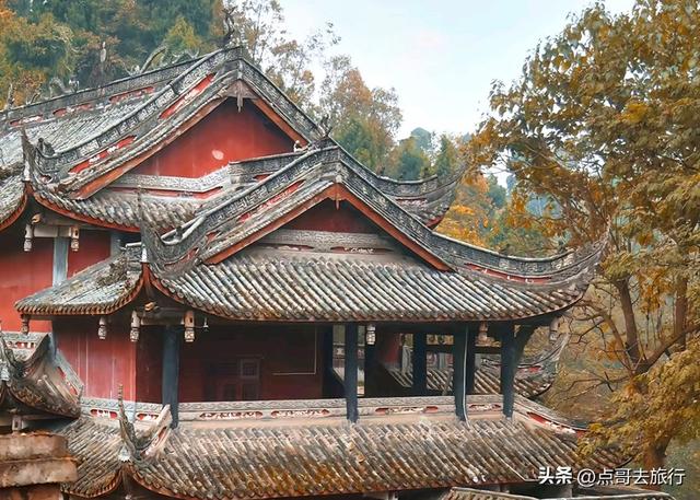 成都严重被低估的彩林徒步线路，1天轻松往返，山野壮观绚丽！