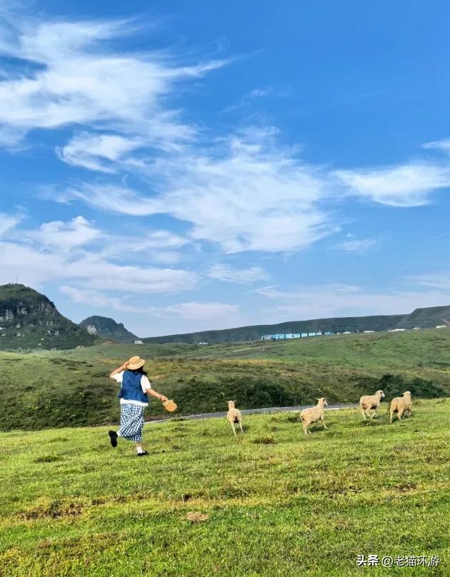 贵州这条隐藏山谷，比云南更野，比川西更凉，温泉竟然免费泡！